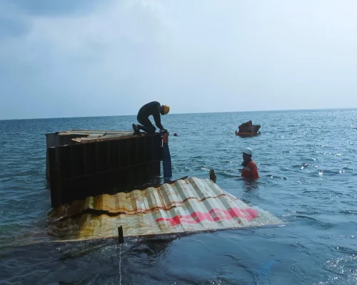 Antipolution & Scrap Removal On Coral Reef_01